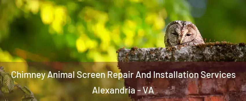 Chimney Animal Screen Repair And Installation Services Alexandria - VA