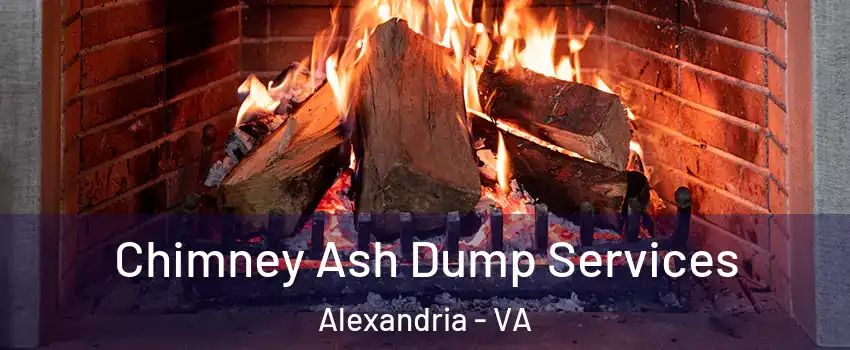 Chimney Ash Dump Services Alexandria - VA