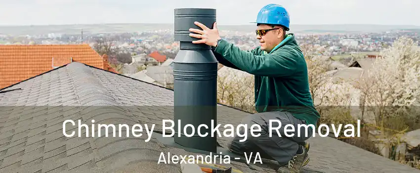 Chimney Blockage Removal Alexandria - VA