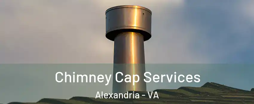 Chimney Cap Services Alexandria - VA