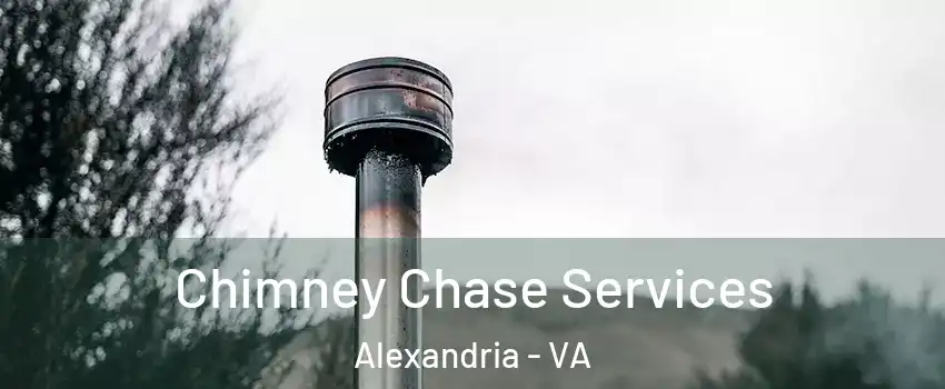 Chimney Chase Services Alexandria - VA