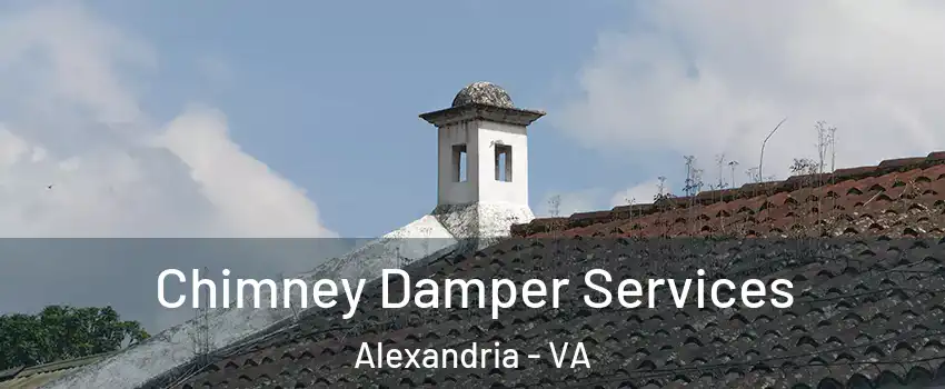 Chimney Damper Services Alexandria - VA