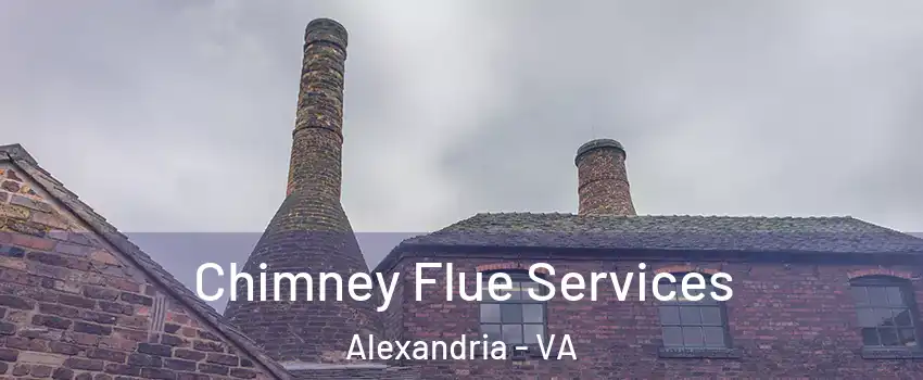 Chimney Flue Services Alexandria - VA