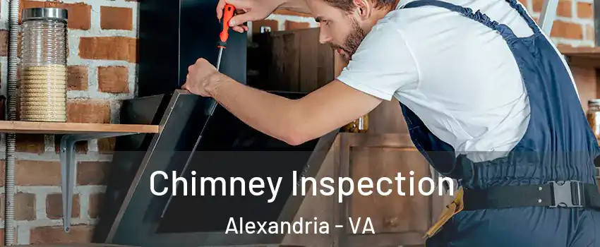Chimney Inspection Alexandria - VA