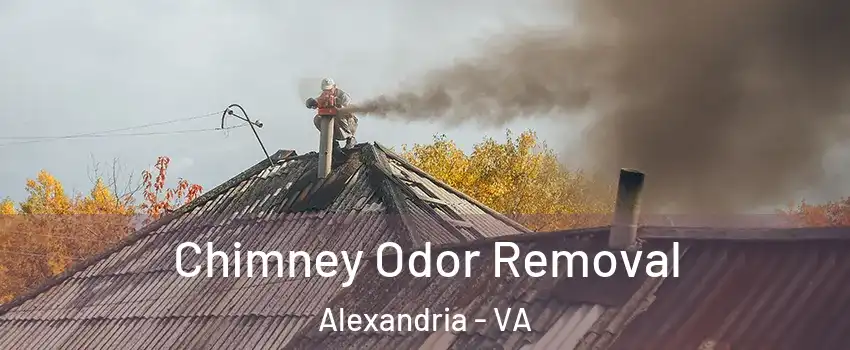 Chimney Odor Removal Alexandria - VA