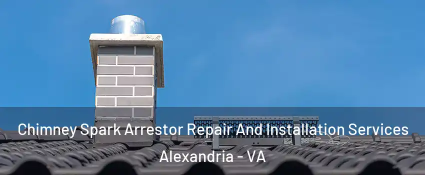 Chimney Spark Arrestor Repair And Installation Services Alexandria - VA
