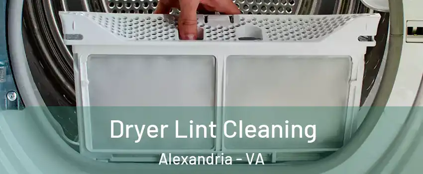 Dryer Lint Cleaning Alexandria - VA