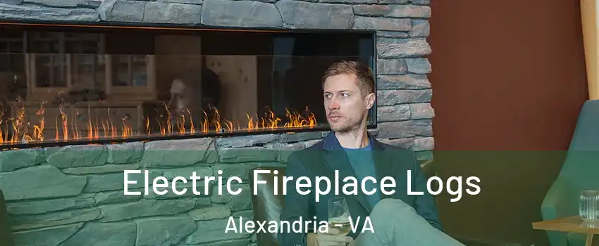 Electric Fireplace Logs Alexandria - VA