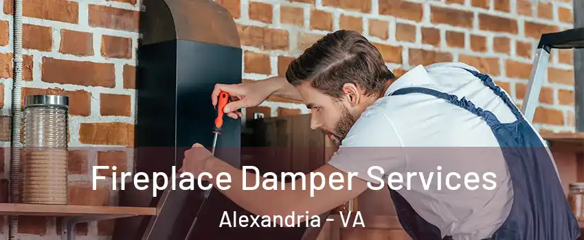 Fireplace Damper Services Alexandria - VA