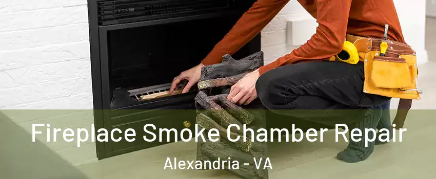 Fireplace Smoke Chamber Repair Alexandria - VA