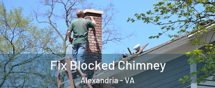 Fix Blocked Chimney Alexandria - VA