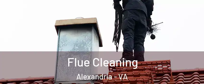 Flue Cleaning Alexandria - VA
