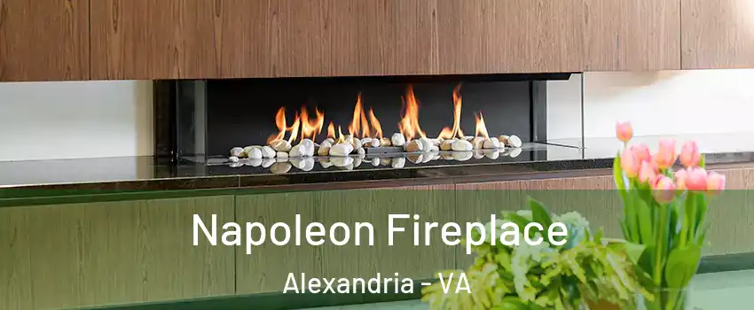 Napoleon Fireplace Alexandria - VA